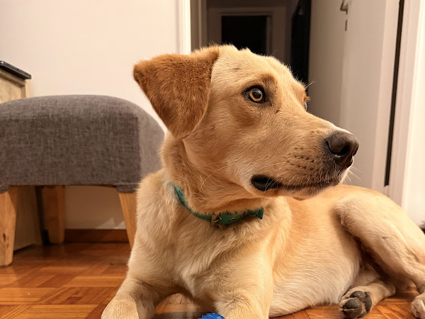 Mascota de Rocio Lopez